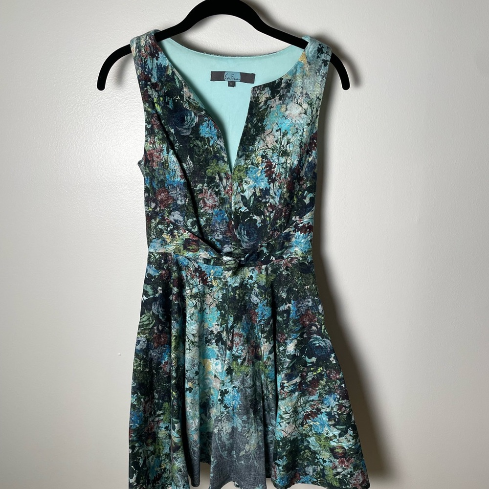 Eva Franco by Anthropologie beautiful printed dress. Size 0.